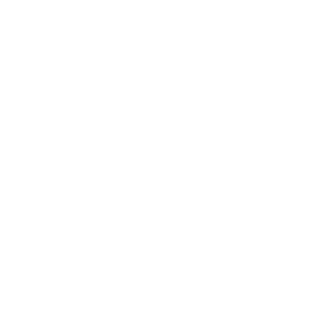 Servicios de SEO: Auditoría, posicionamiento SEO, diseño SEO, migración y SEO local